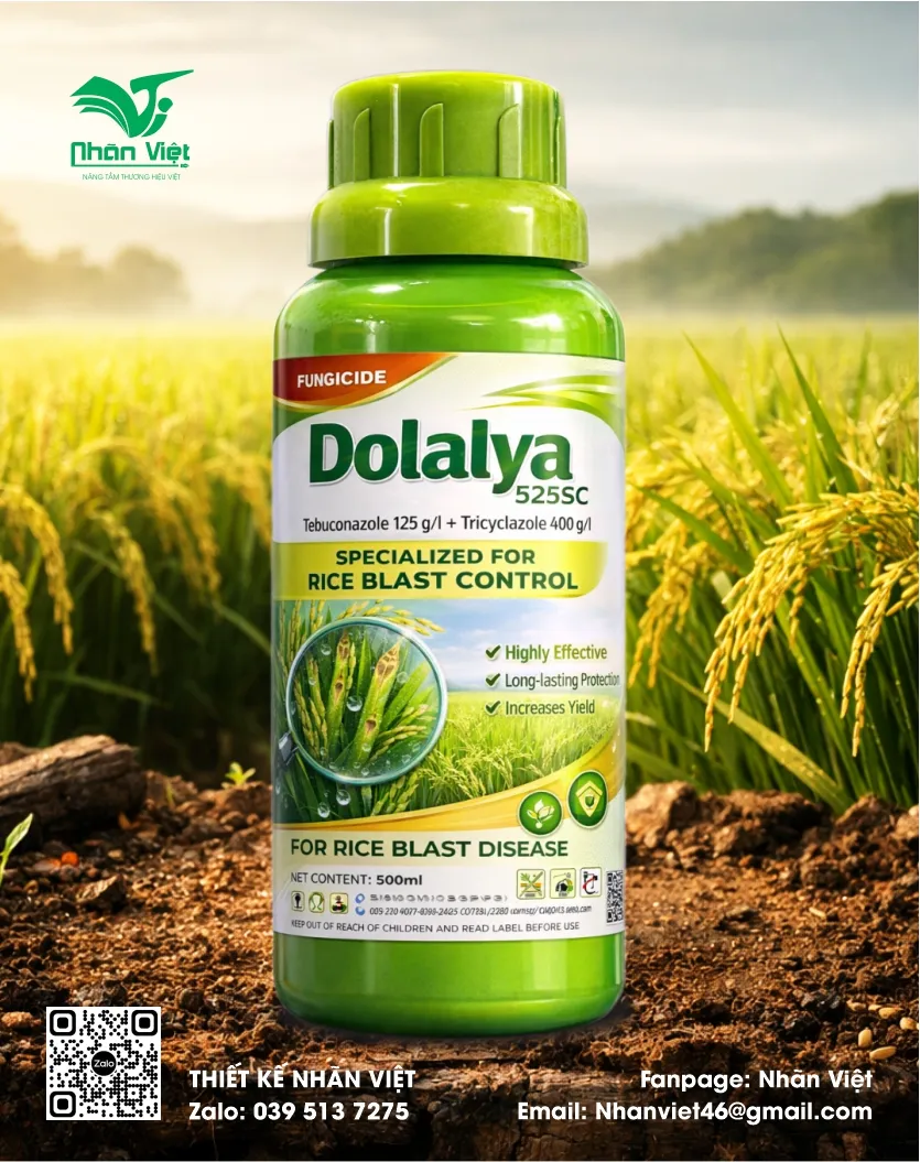 Nhãn mác & Bao bì